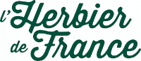 Nestlé